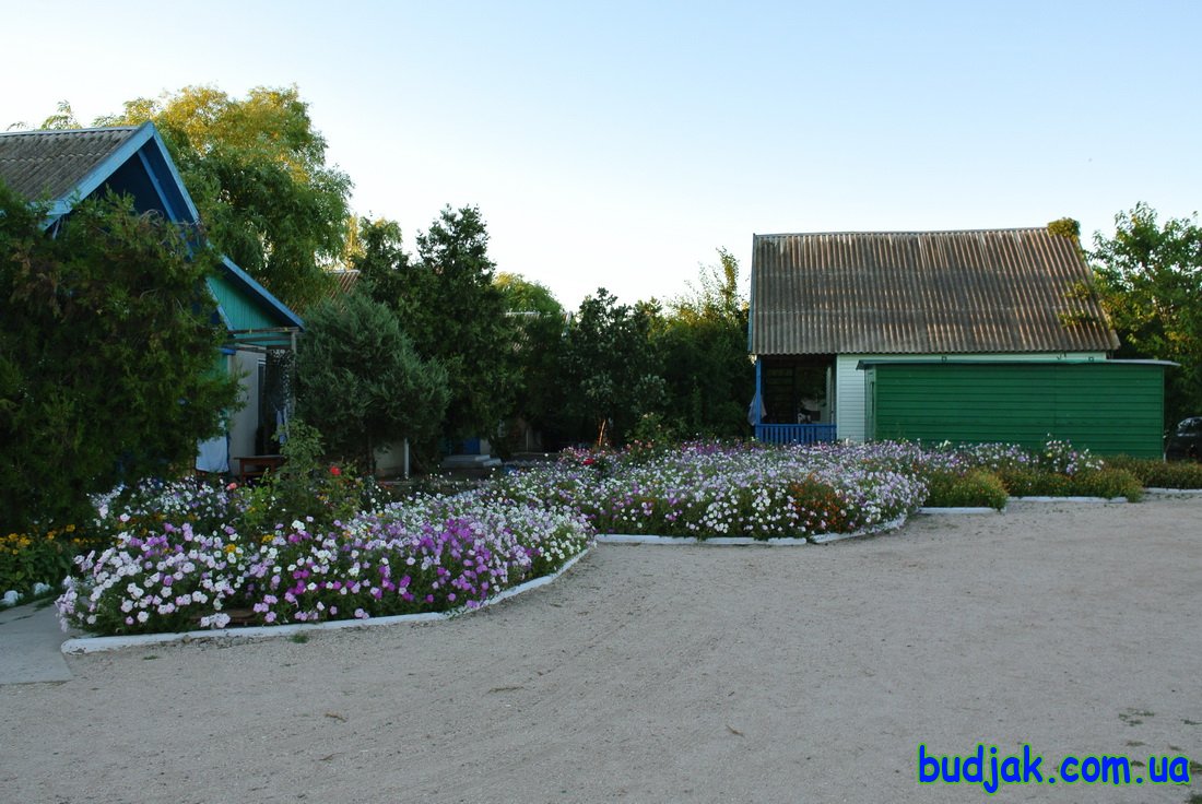 База отдыха Плай - территория. Курорт Рассейка. Фото N 7701. 2016 год